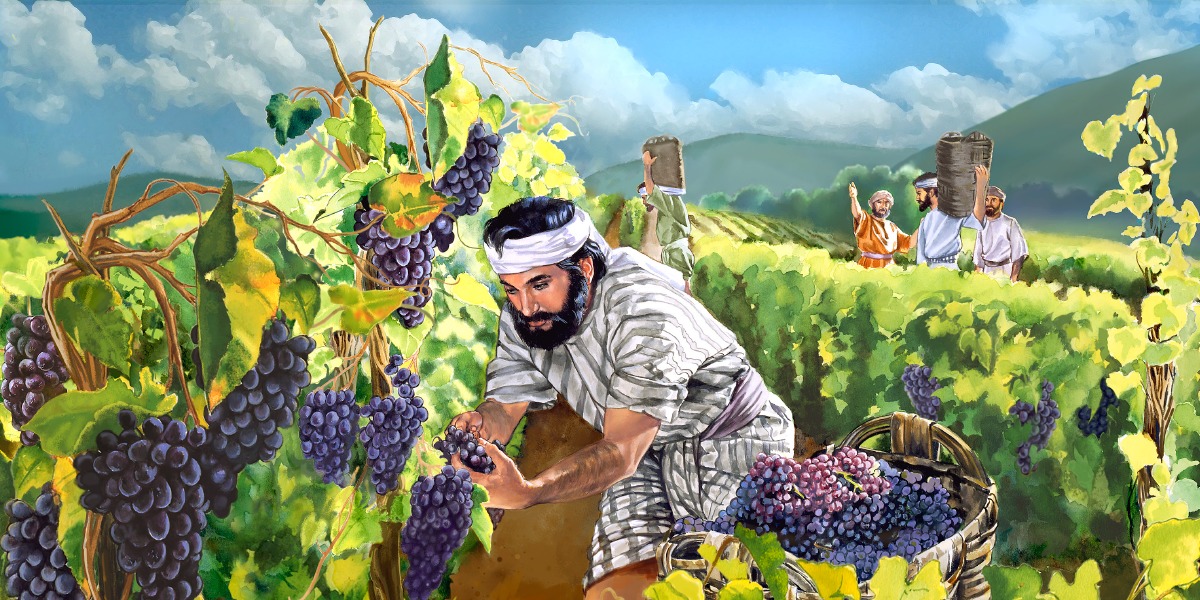 Workers in the Vineyard