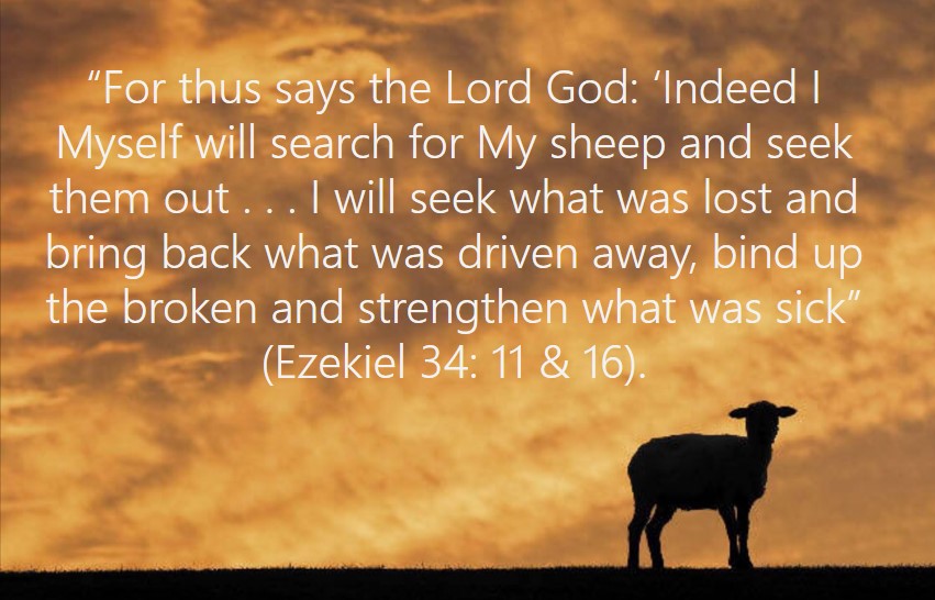 I will seek out my sheep