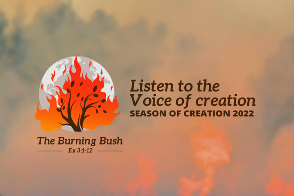 Listen to the voice of creation
